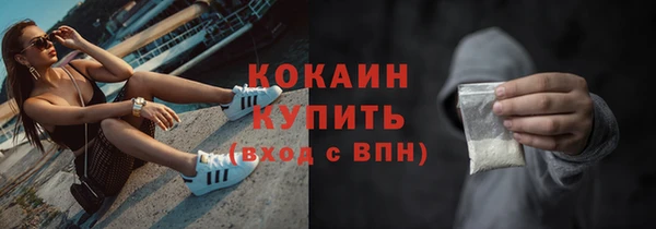 ПСИЛОЦИБИНОВЫЕ ГРИБЫ Осташков
