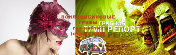 a pvp Аркадак