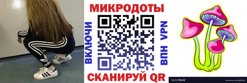 Псилоцибиновые грибы Psilocybe  Калуга 